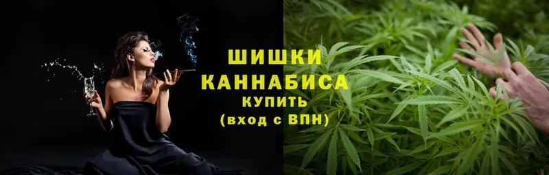 Канабис OG Kush  Белово 